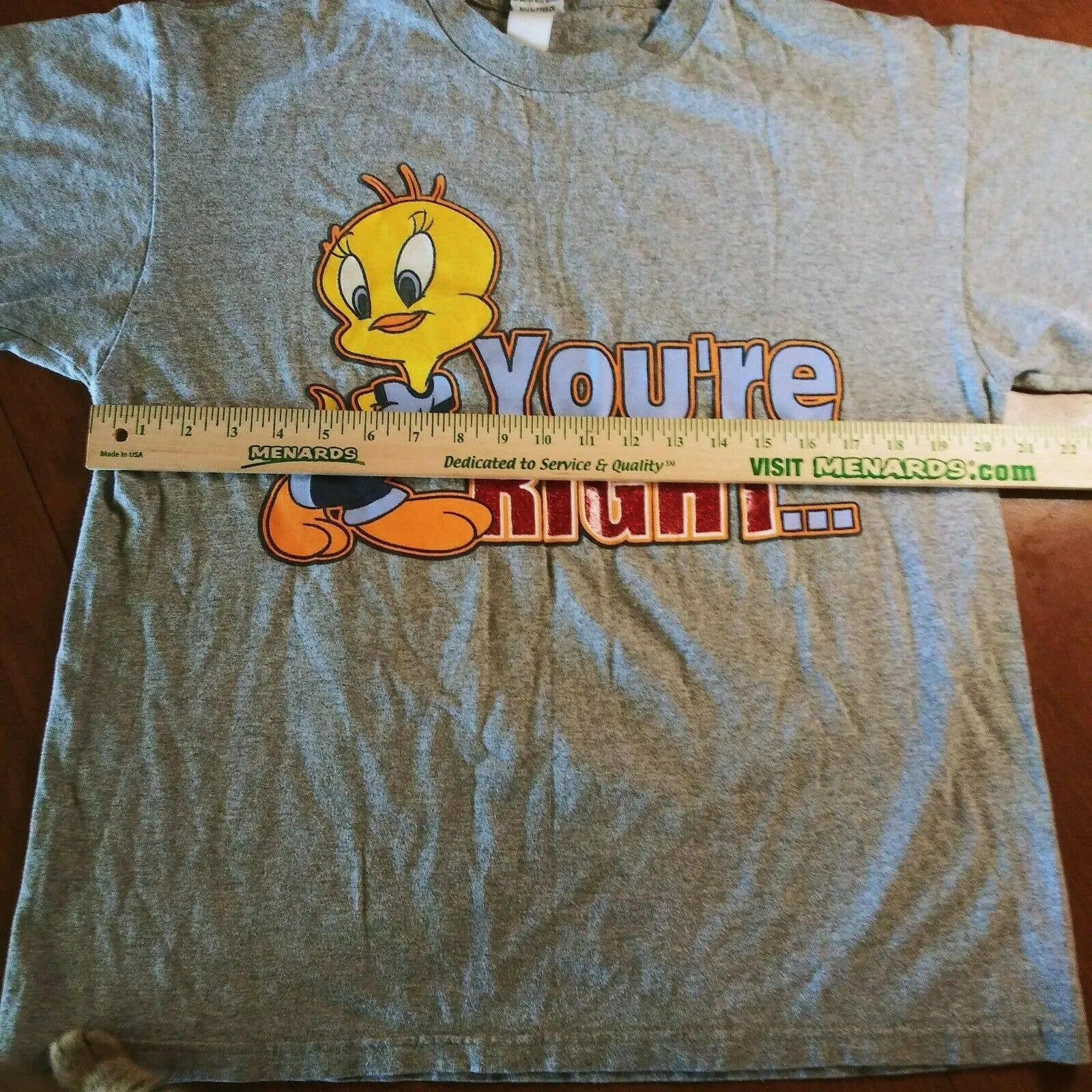 00's Gray Tweety Bird Sylvester Slap Graphic T-Shirt by Looney Tunes