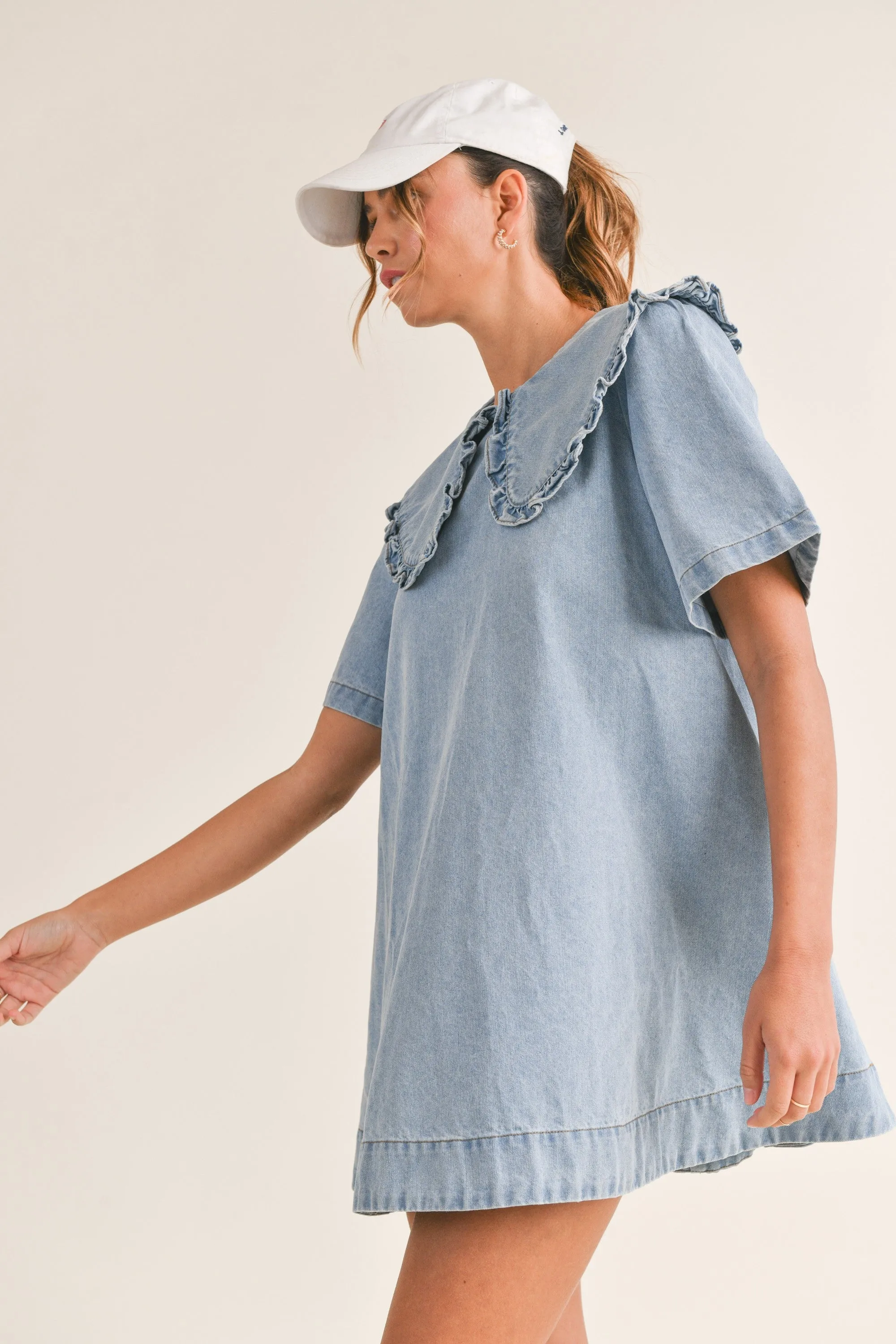 Baker Denim Dress