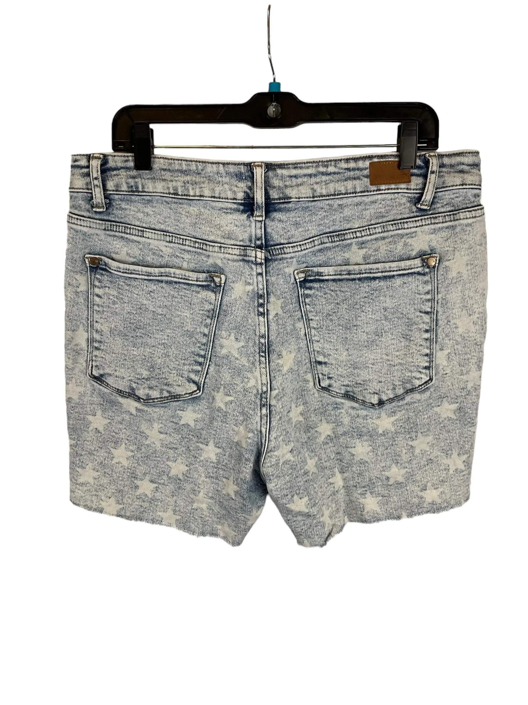 Blue Denim Shorts Judy Blue, Size 1x